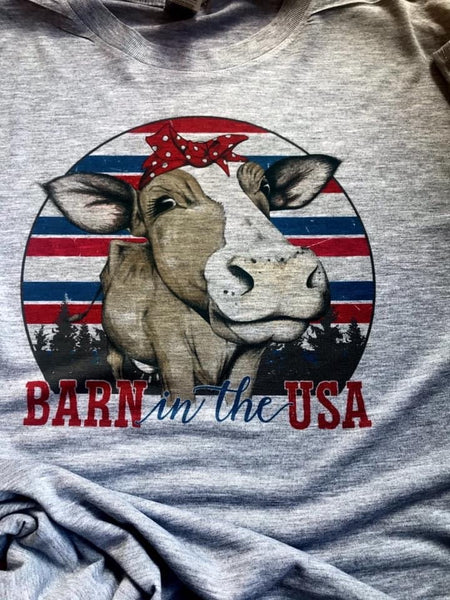 Barn in the USA T-Shirt